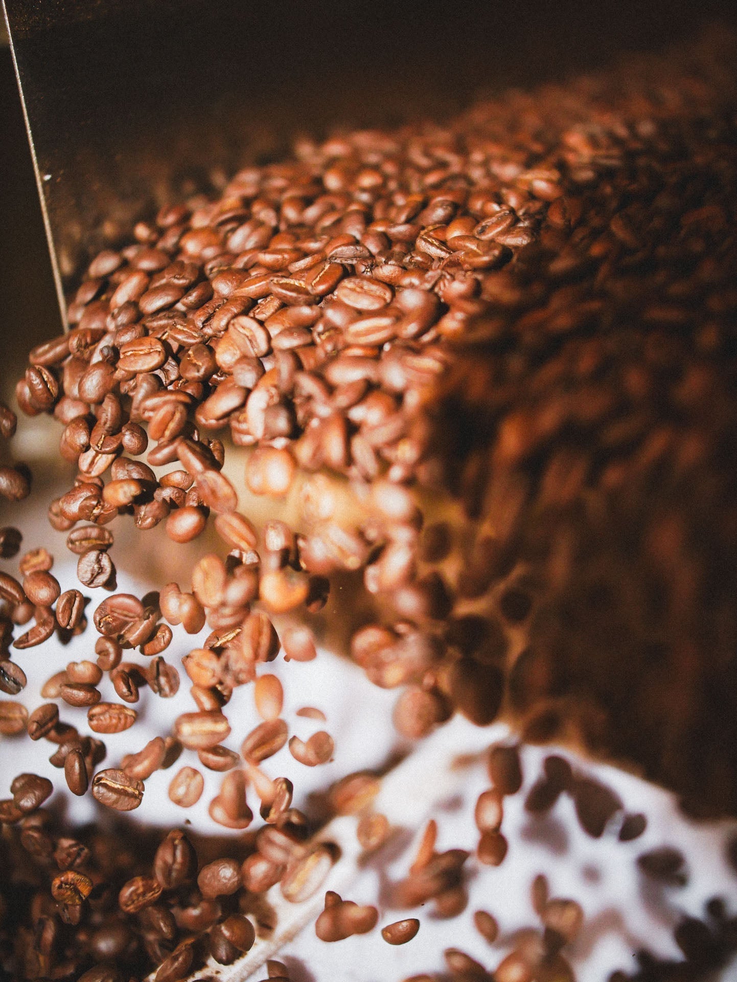 THE TRUTH ABOUT E1520 IN YOUR COFFEE